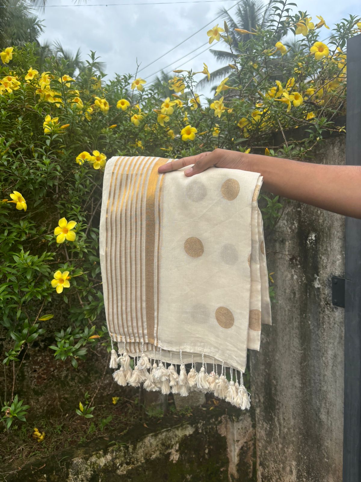 Mulcotton Premium Saree