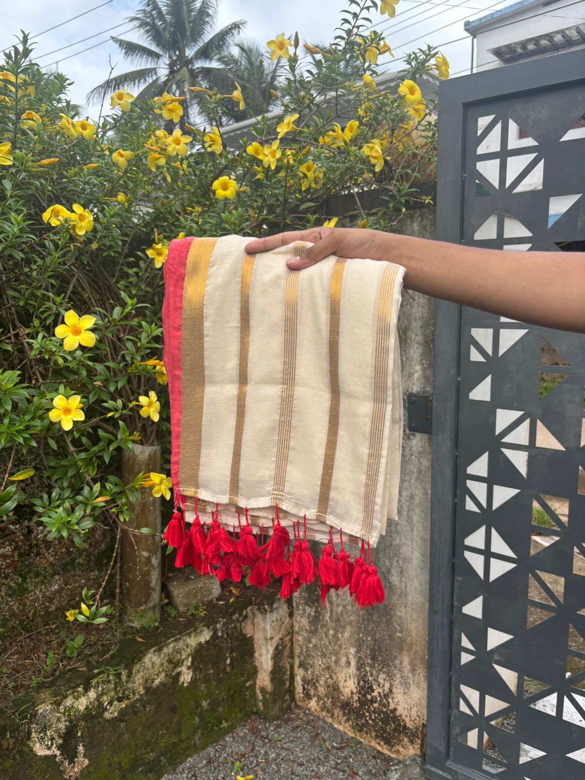 Mulcotton saree